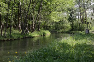 Nähe Lochbachanstich