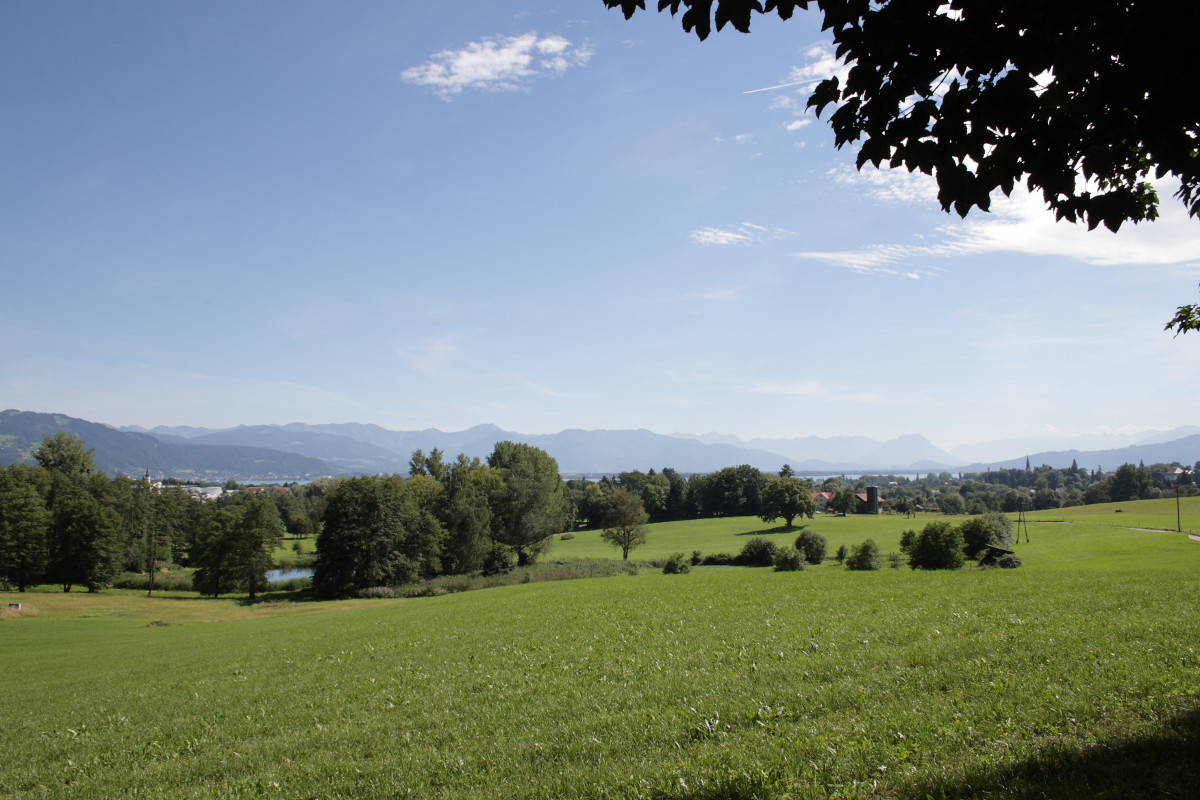 Umgebung von Lindau, im Hintergrund Liechtenstein, Frastanzer Sand, Ausläufer der Hohen Kugel, Schafboden