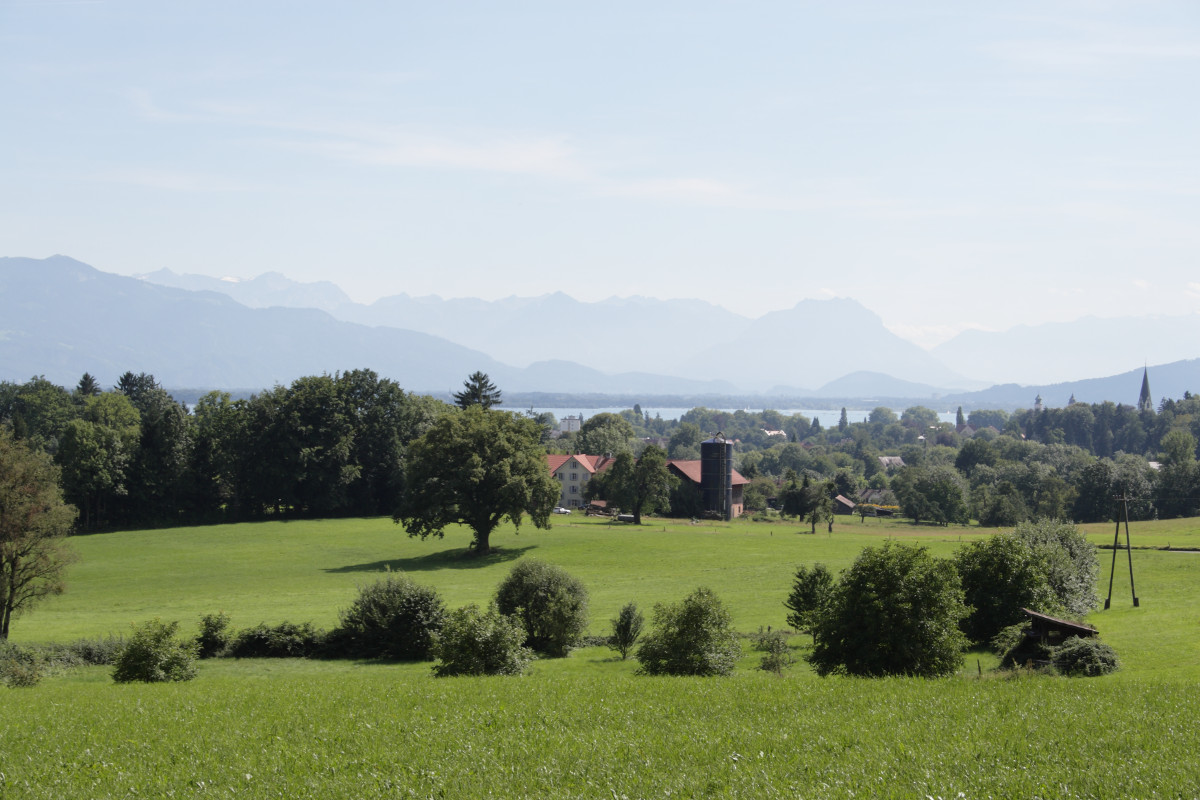 Umgebung von Lindau, im Hintergrund Liechtenstein, Frastanzer Sand, Ausläufer der Hohen Kugel, Schafboden