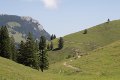 Blick auf den Brünnstein (Nähe Wirtsalm)