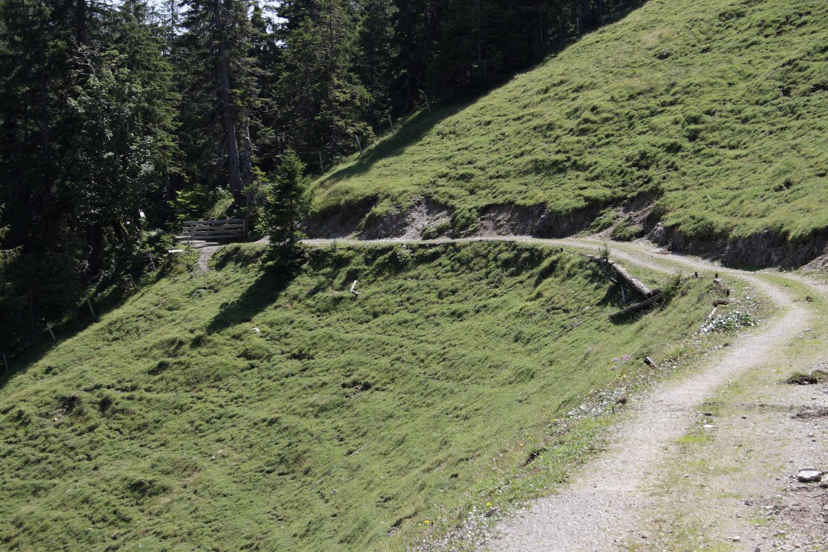 Kurz nach der Wirtsalm (Beginn der ersten längeren Abfahrt)