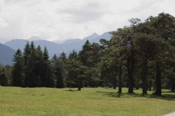 Im Riedboden zwischen Scharnitz und Mittenwald (im Hintergrund Karlspitze, Erlspitze, Solstein und die Brandjochspitzen).