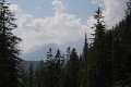 Ausblick kurz unterhalb der Oberbrunnalm: Leutascher Dreitorspitze, Oberreintalschrofen, Teufelsgrat, Hochwanner, Gehrenspitze