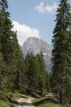 Auffahrt zur Eppzirler Alm: Blick auf die Erlspitze