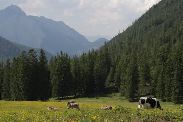 Blick von der Eppzirler Alm ins Tal: Große Arnspitze mit Ausläufer, ganz hinten das Estergebirge