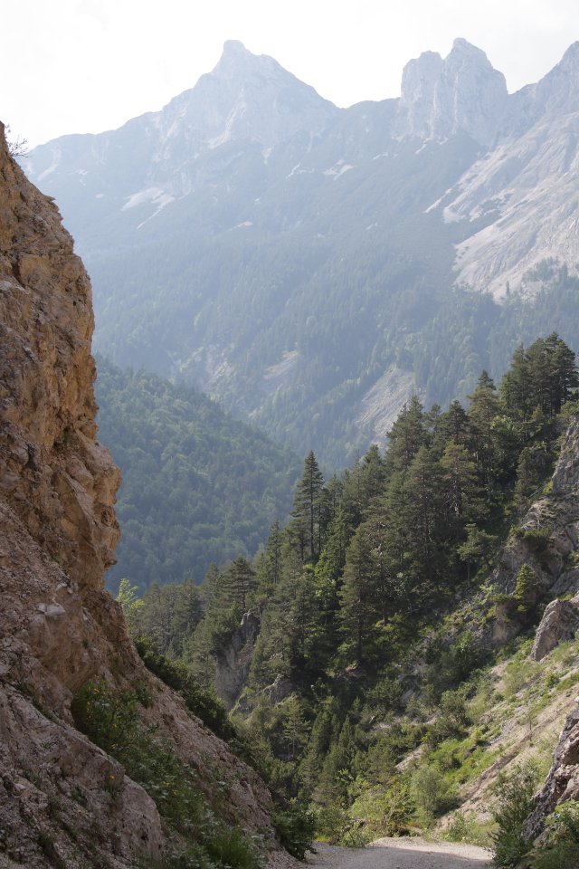 Blick auf die Arnplattenspitze, kurz vor Gießenbach