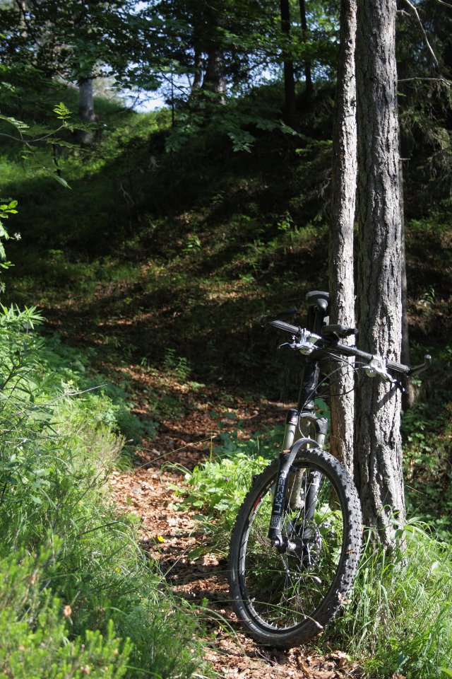 Single Trail bei Gießenbach (Rückweg nach Scharnitz)