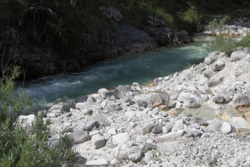 Im Hinterautal: Typische grünliche Farbe der erst wenige Kilometer alten Isar