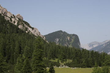 Bei der Kohleralm, unterhalb der Hallerangeralm: Gumpenkopf, hinten Brunnsteinspitze / Rotwandlspitze