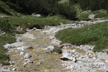 Lafatscher Bach / Isar wenige Meter unterhalb der Quelle